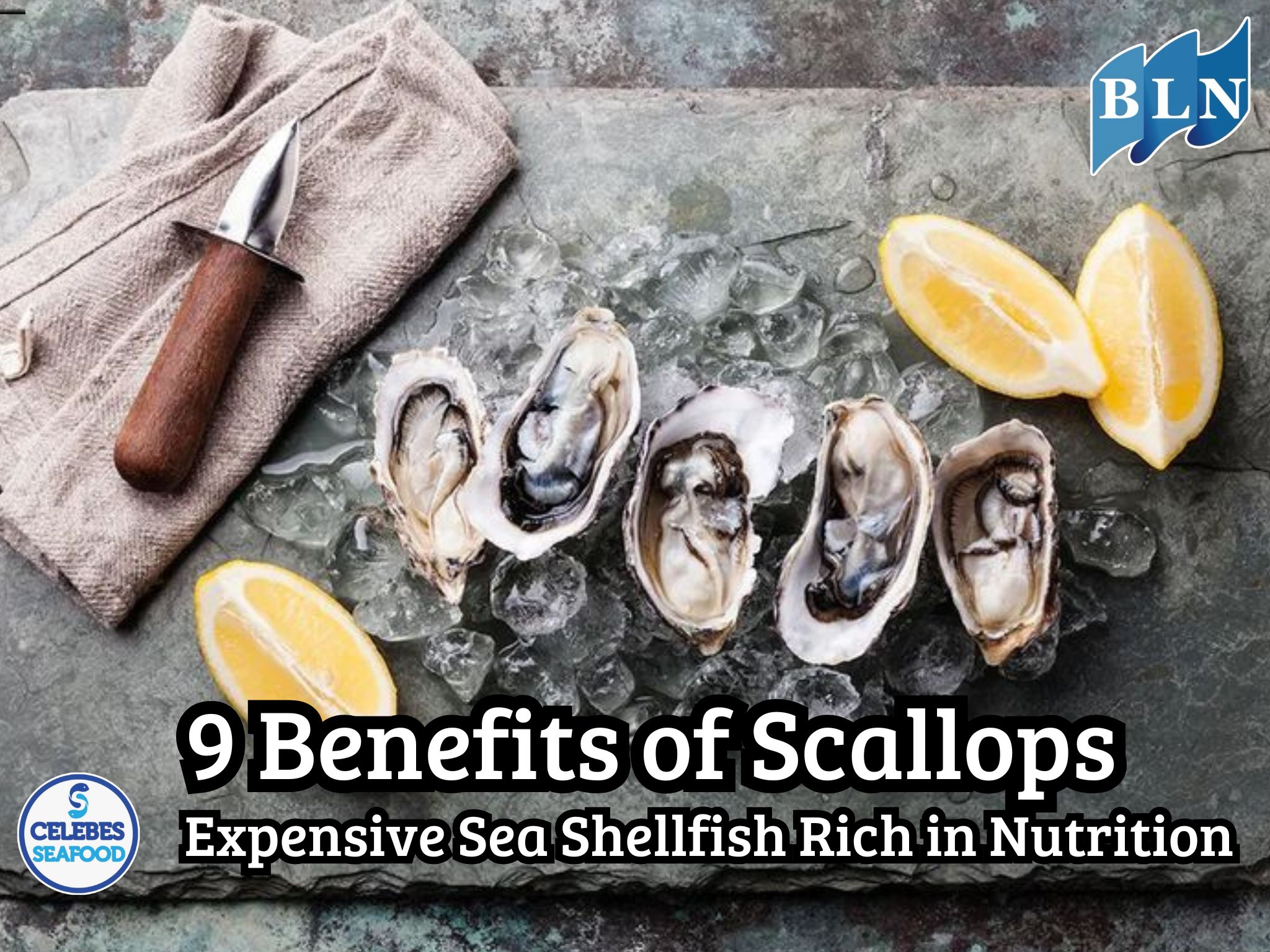 9 Benefits of Scallops, Expensive Sea Shellfish Rich in Nutrition